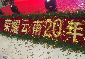 得勝家居企業(yè)集團(tuán)20周年慶典隆重舉行